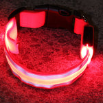 LED Luminous Anti-Lost Dog Collar – Night Safety for Pets