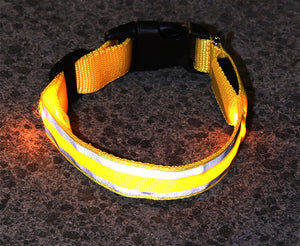 LED Luminous Anti-Lost Dog Collar – Night Safety for Pets