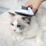 Ecofurry Mart Self-Cleaning Pet Hair Brush Comb | Stainless Steel Cat & Dog Grooming Tool | One-Key Fur Removal