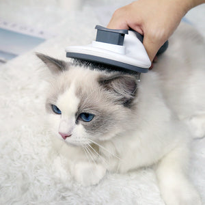 Ecofurry Mart Self-Cleaning Pet Hair Brush Comb | Stainless Steel Cat & Dog Grooming Tool | One-Key Fur Removal