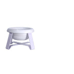 2-in-1 Cat Feeder Bowl with Anti-Slip Iron Stand Design