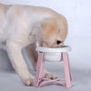 2-in-1 Cat Feeder Bowl with Anti-Slip Iron Stand Design