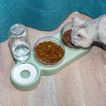 Automatic Pet Feeder Bowl with Water Fountain Stand