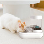 4-Style Cat & Dog Feeder with 1.5L Automatic Water Fountain
