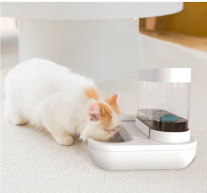 4-Style Cat & Dog Feeder with 1.5L Automatic Water Fountain