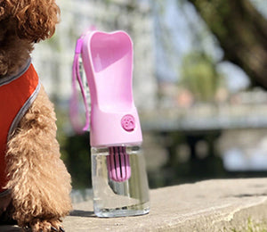 Portable Pet Water Bottle – Dog & Cat Feeder for Outdoor Travel