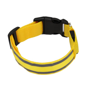 LED Luminous Anti-Lost Dog Collar – Night Safety for Pets