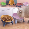 Nordic Pet Bowl with Stand – For Cats, Dogs & Rabbits