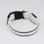 LED Luminous Anti-Lost Dog Collar – Night Safety for Pets