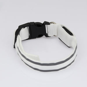 LED Luminous Anti-Lost Dog Collar – Night Safety for Pets