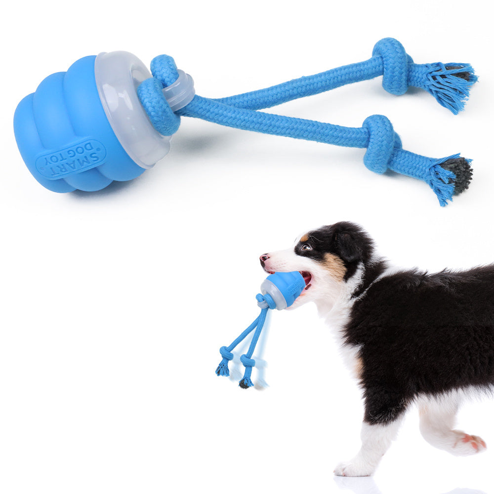 Electric Dog Toy Ball with Retractable Leash | 2-in-1 Fun & Control for Small to Medium Dogs