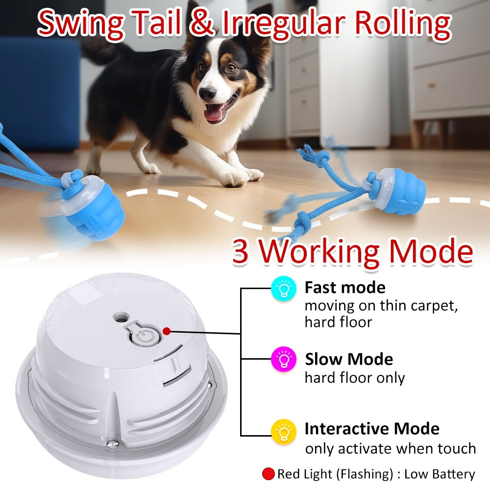 Electric Dog Toy Ball with Retractable Leash | 2-in-1 Fun & Control for Small to Medium Dogs