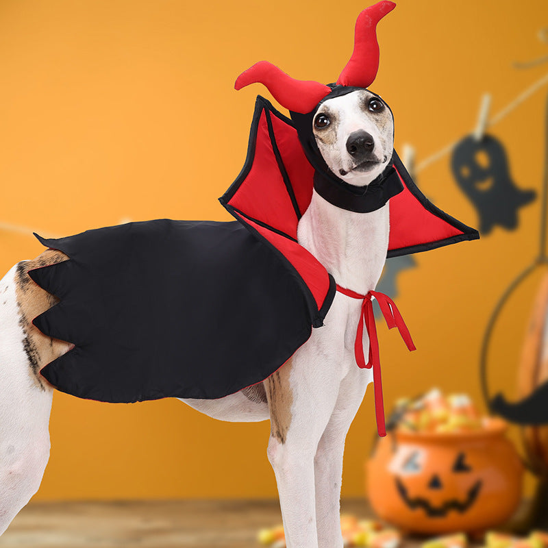 Halloween Vampire Pet Cloak & Hat Costume – Holiday Outfit