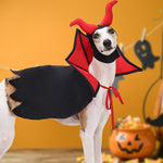 Halloween Vampire Pet Cloak & Hat Costume – Holiday Outfit