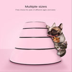 Large Stainless Steel Pet Bowl – For Dogs and Cats