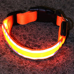 LED Luminous Anti-Lost Dog Collar – Night Safety for Pets