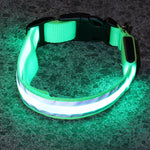 LED Luminous Anti-Lost Dog Collar – Night Safety for Pets