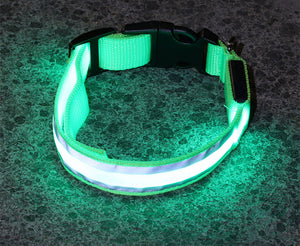 LED Luminous Anti-Lost Dog Collar – Night Safety for Pets