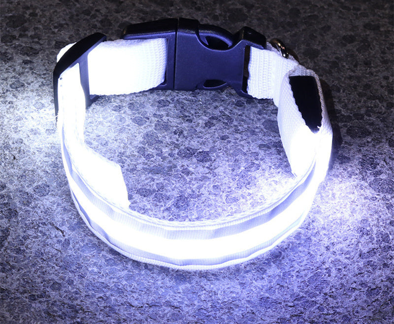 LED Luminous Anti-Lost Dog Collar – Night Safety for Pets