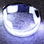 LED Luminous Anti-Lost Dog Collar – Night Safety for Pets