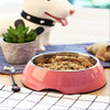 Large Stainless Steel Pet Bowl – For Dogs and Cats