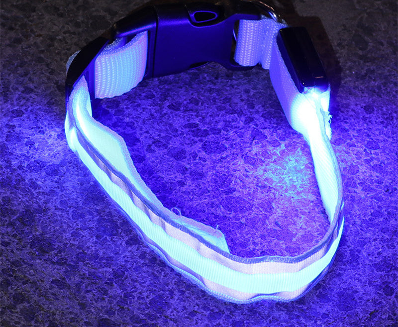 LED Luminous Anti-Lost Dog Collar – Night Safety for Pets