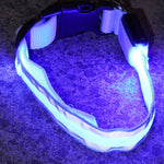 LED Luminous Anti-Lost Dog Collar – Night Safety for Pets