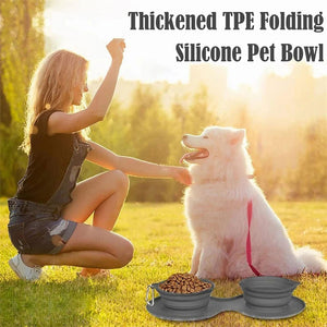Foldable Rubber Double Pet Bowl – For Cats & Dogs