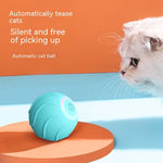 cheerble smart interactive cat toy reviews