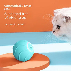  cheerble smart interactive cat toy reviews