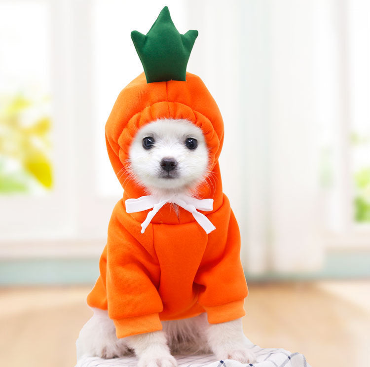 cute dog hoodie with drawstring hood and fruit print