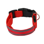 LED Luminous Anti-Lost Dog Collar – Night Safety for Pets