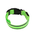LED Luminous Anti-Lost Dog Collar – Night Safety for Pets