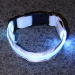 LED Luminous Anti-Lost Dog Collar – Night Safety for Pets