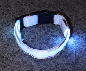 LED Luminous Anti-Lost Dog Collar – Night Safety for Pets