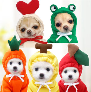 Five small dogs wearing colorful animal-themed costumes on a white background