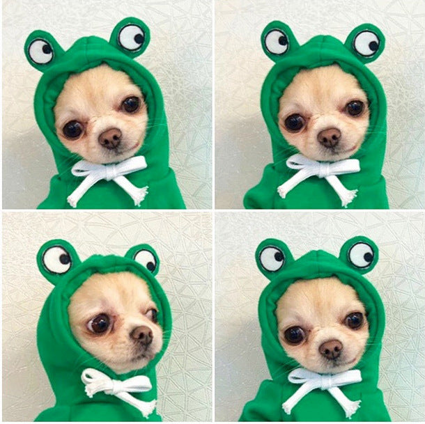 warm costume hoodie for pets with fun design