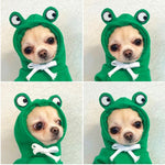 warm costume hoodie for pets with fun design